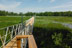 Image de «Grand retour du sentier La Zizanie-des-Marais».