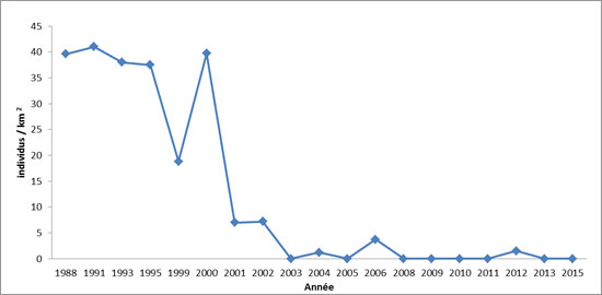 Le nombre d'individus par kilomètre carré était de 39.6 en 1988, 41 en 1991, 38 en 1993, 37.5 en 1995, 18.8 en 1999, 39.7 en 2000, 7 en 2001, 7.2 en 2002, 0 en 2003, 1.2 en 2004, 0 en 2005, 3.7 en 2006, 0 en 2008, 0 en 2009, 0 en 2010, 0 en 2011, 1.5 en 2012, 0 en 2013 et 0 en 2015.