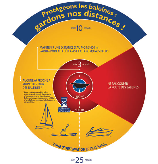 Infographie composée de différents cercles représentant les distances et les vitesses à respecter en fonction des espèces à observer.